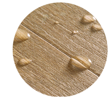 image_copy_1507658877413.png