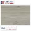 CHARM WOOD 8MM NHỎ E862