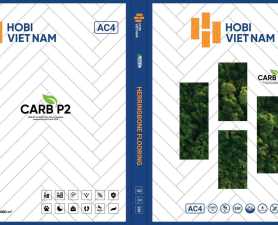 HOBI CARB P2 XƯƠNG CÁ 12MM